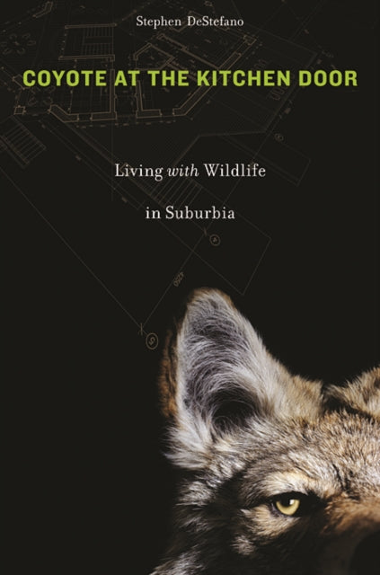 Coyote at the Kitchen Door: Living with Wildlife in Suburbia