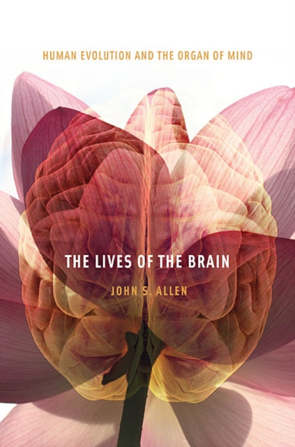 The Lives of the Brain  Human Evolution and the