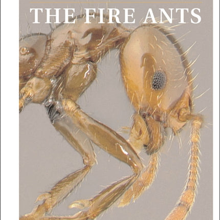 The Fire Ants