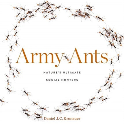 Army Ants: Nature’s Ultimate Social Hunters