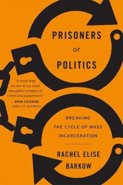 Prisoners of Politics: Breaking the Cycle of Mass Incarceration