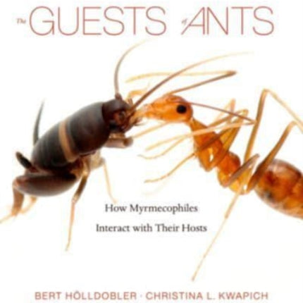 The Guests of Ants: How Myrmecophiles Interact with Their Hosts