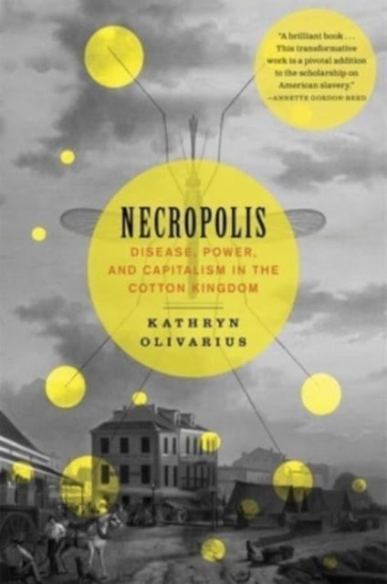 Necropolis  Disease Power and Capitalism in the Cotton Kingdom