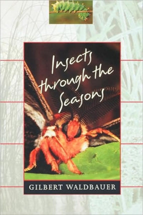 Insects through the Seasons