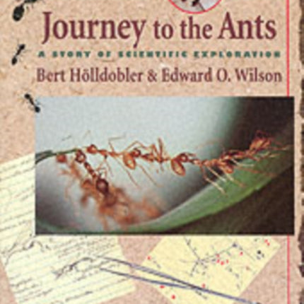 Journey to the Ants: A Story of Scientific Exploration