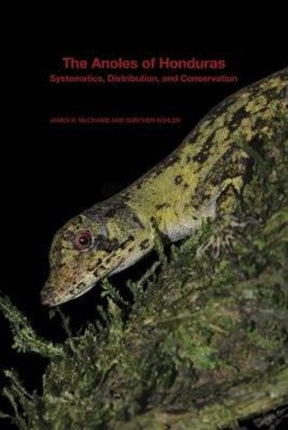 The Anoles of Honduras