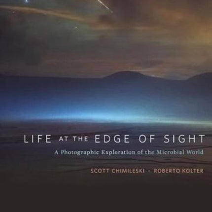 Life at the Edge of Sight: A Photographic Exploration of the Microbial World