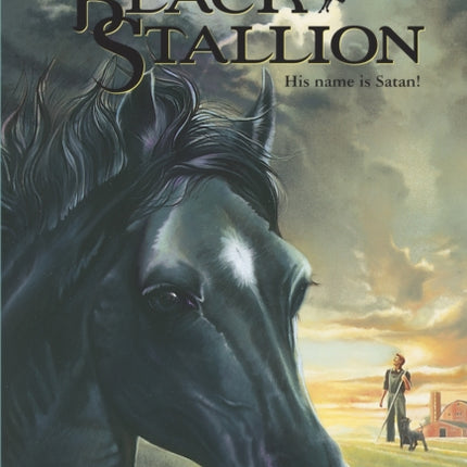 Son of the Black Stallion