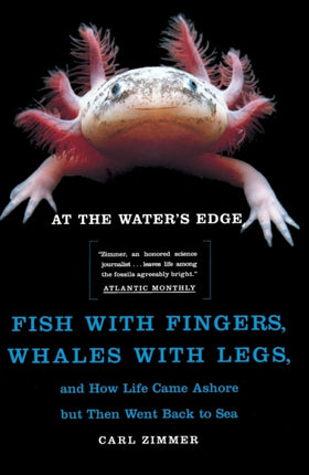 At the Waters Edge Fish with Fingers Whales with