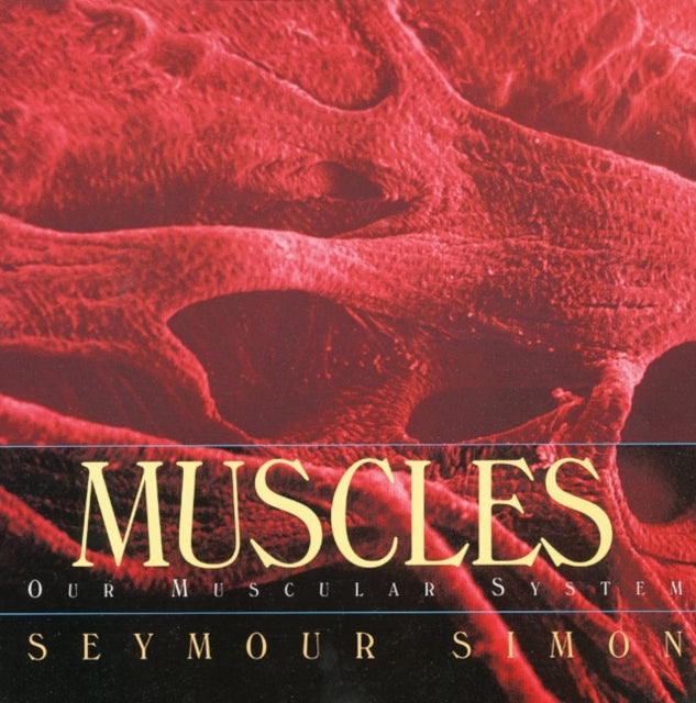 musclesourmuscularsystem