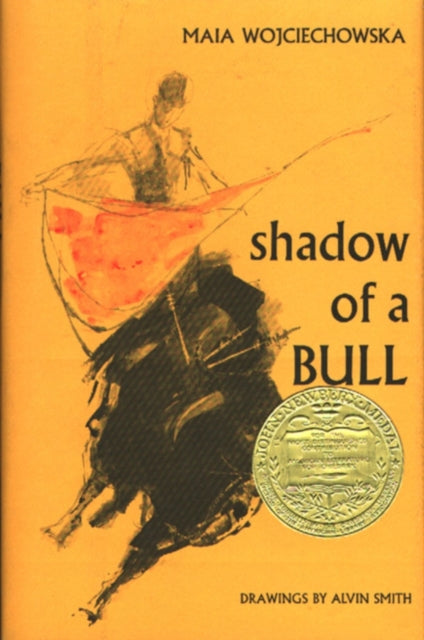 Shadow of a Bull