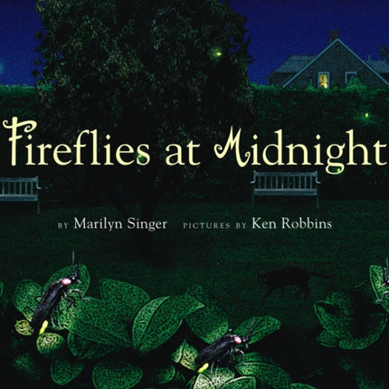 Fireflies at Midnight