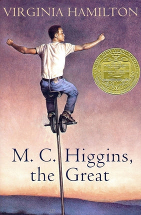 M.C. Higgins, the Great