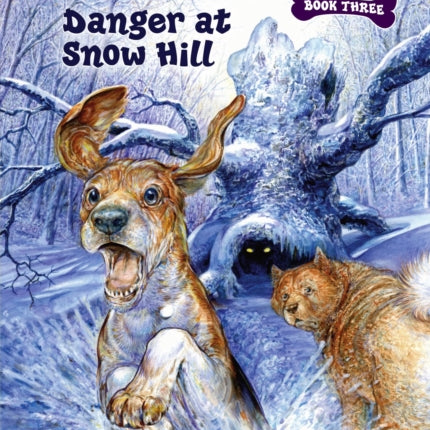 Danger at Snow Hill