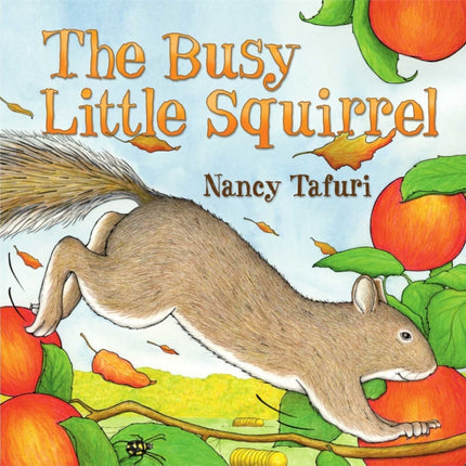 Busy Little Squirrel