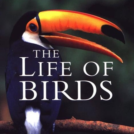 The Life of Birds