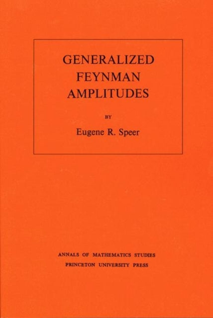 Generalized Feynman Amplitudes