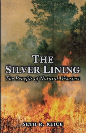 The Silver Lining  The Benefits of Natural