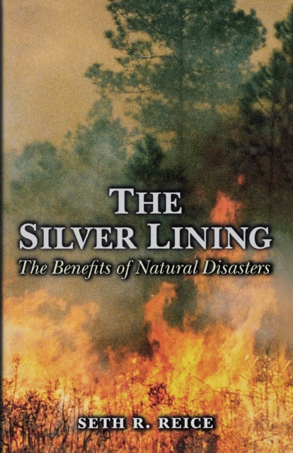 The Silver Lining  The Benefits of Natural