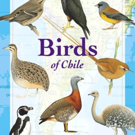 Birds of Chile