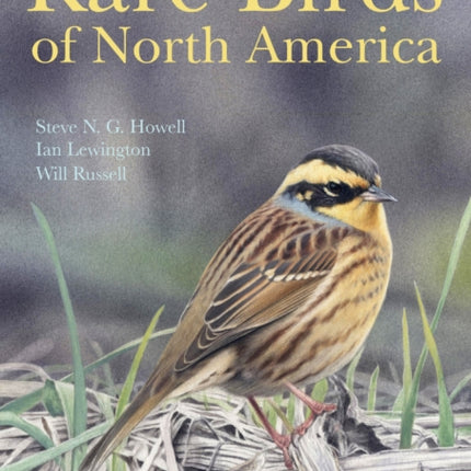 Rare Birds of North America