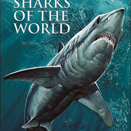 Sharks of the World