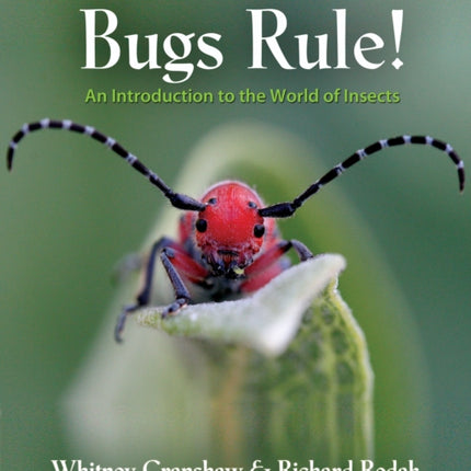 Bugs Rule!: An Introduction to the World of Insects