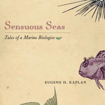 Sensuous Seas