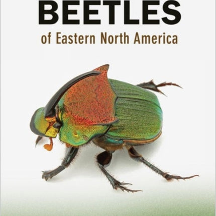 Beetles of Eastern North America