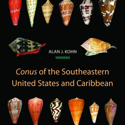 Conus of the Southeastern United States and