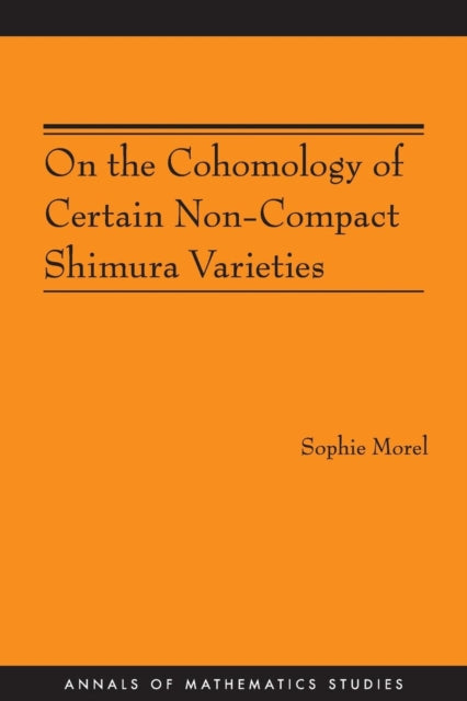 On the Cohomology of Certain NonCompact Shimura Varieties