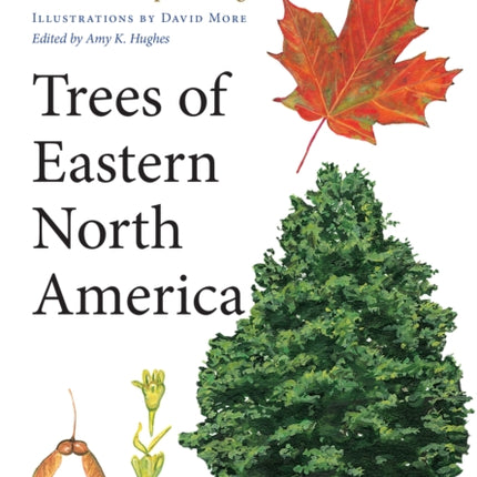 Trees of Eastern North America