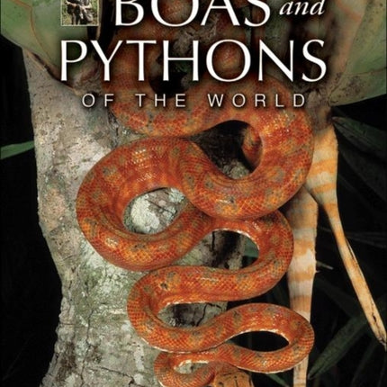 Boas and Pythons of the World