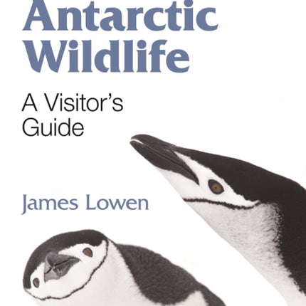 Antarctic Wildlife: A Visitor's Guide