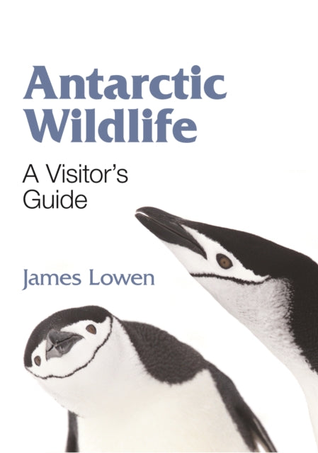 Antarctic Wildlife: A Visitor's Guide