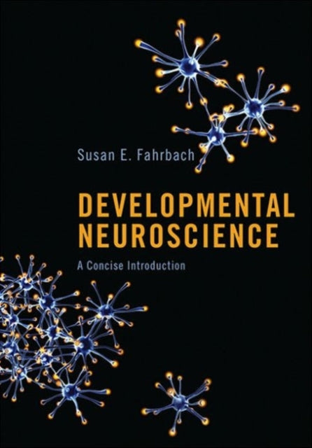 Developmental Neuroscience: A Concise Introduction