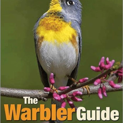 The Warbler Guide