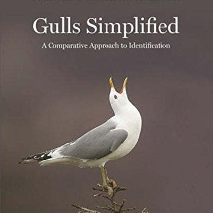 Gulls Simplified: A Comparative Approach to Identification