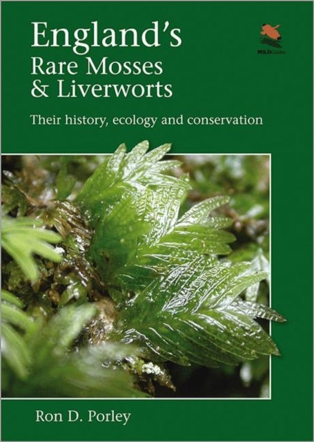 Englands Rare Mosses and Liverworts  Their History Ecology and Conservation