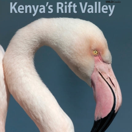 Birds of Kenya's Rift Valley