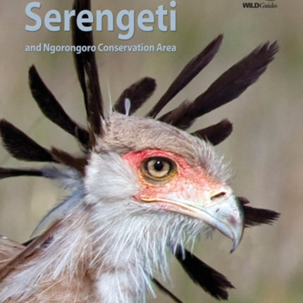 Birds of the Serengeti: And Ngorongoro Conservation Area