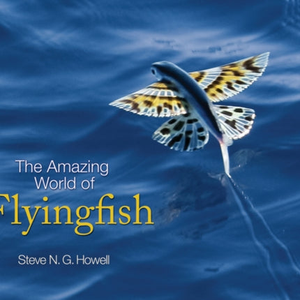 The Amazing World of Flyingfish