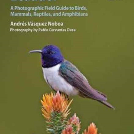 Wildlife of Ecuador: A Photographic Field Guide to Birds, Mammals, Reptiles, and Amphibians