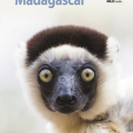 Wildlife of Madagascar