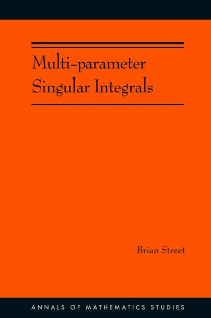 Multiparameter Singular Integrals Volume I
