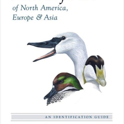 Waterfowl of North America, Europe, and Asia: An Identification Guide