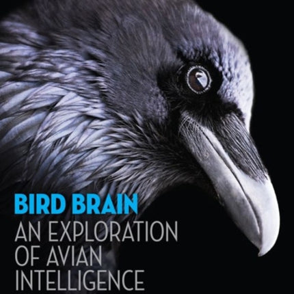 Bird Brain: An Exploration of Avian Intelligence