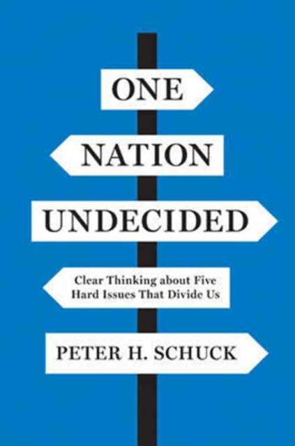 One Nation Undecided: Clear Thinking about Five Hard Issues That Divide Us