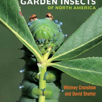 Garden Insects of North America: The Ultimate Guide to Backyard Bugs - Second Edition