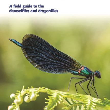 Europe's Dragonflies: A field guide to the damselflies and dragonflies